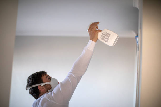 Best Mold Remediation for Schools in Mill Valley, CA