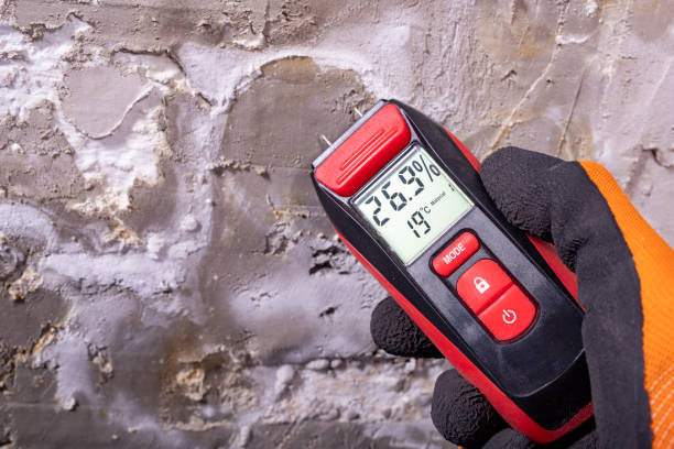 Best Industrial Mold Remediation in Mill Valley, CA
