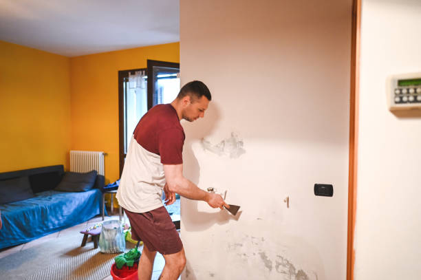 Best Post-Flood Mold Remediation in Mill Valley, CA